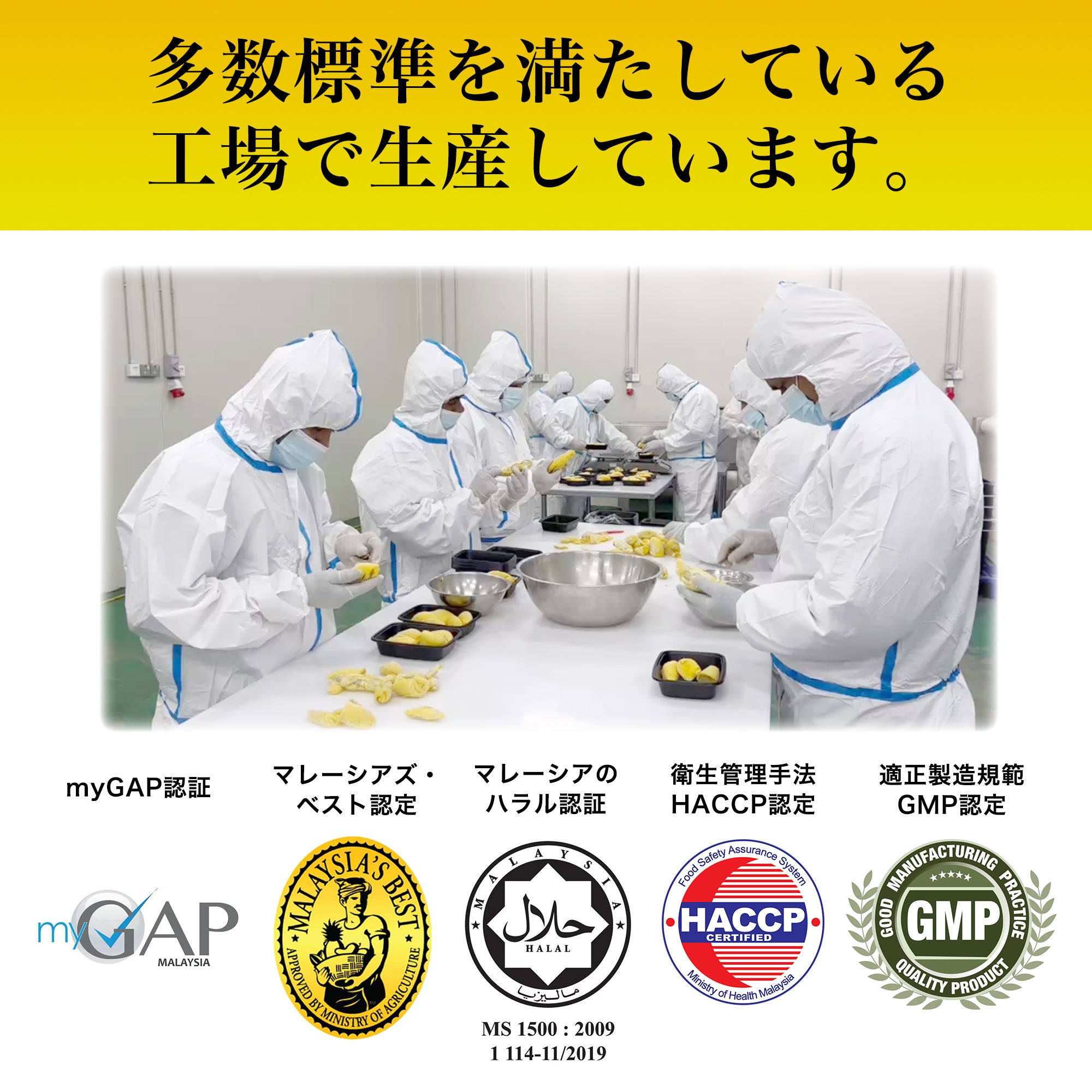 ムサンキング（D197）種 MusangKing 猫山王 | 株式会社エクリプス